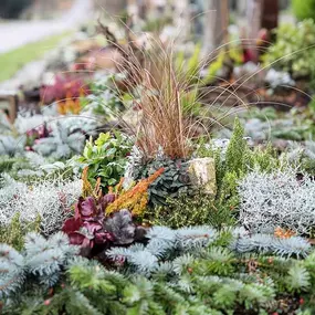 Bild von Gärtnerei Strauß Inhaber Florian Strauß