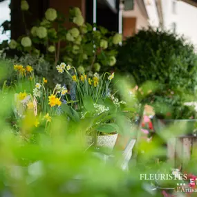 Bild von Fleurs et Sens