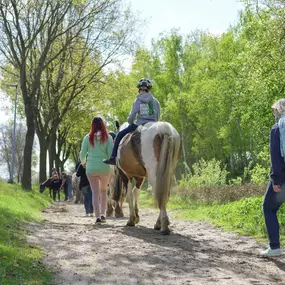 Bild von Familiencampingplatz Haselünne