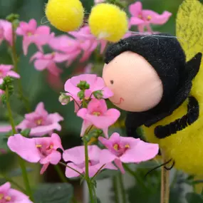 Bild von Gärtnerei Pichler GbR