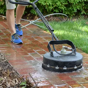 Bild von Window Hero Charlotte