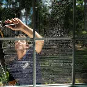 Bild von Window Hero Charlotte