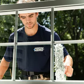 Bild von Window Hero Charlotte