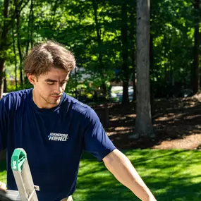 Bild von Window Hero Charlotte