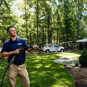 Bild von Window Hero Charlotte