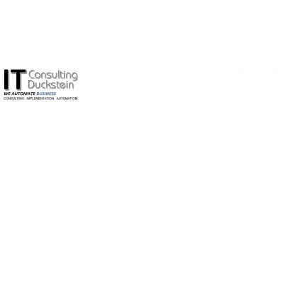 Logo from IT-Consulting Duckstein
