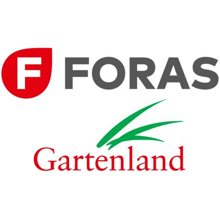 Logotyp från FORAS GmbH