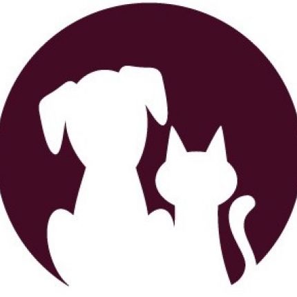 Logotyp från Katzen-kletterwand