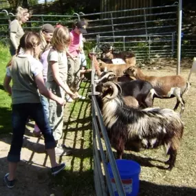 Bild von Erlebnisfarm Bräunertshof