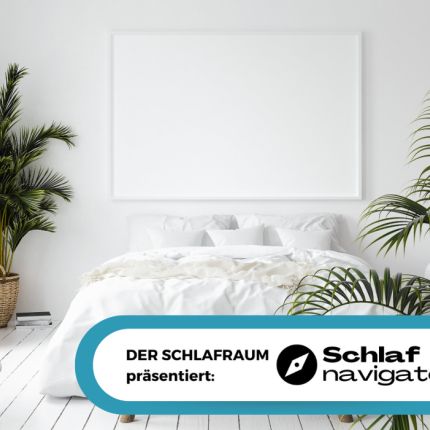 Logotipo de Schlafnavigator Bjoern Steinbrink c/o Der Schlafraum