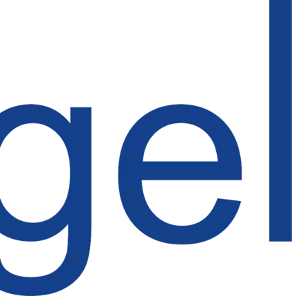 Logo van engel Sicherheit.IT GmbH