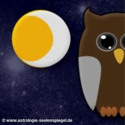 Logo van SEELENSPIEGEL - Horst Wagenblaß Psychologische Astrologie & Mondkalender