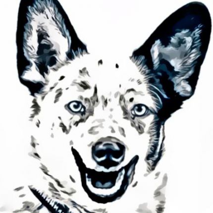 Logótipo de Hundeschule hunde-mit-menschen