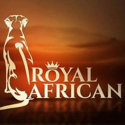 Logotyp från Royal African Rhodesian Ridgebacks