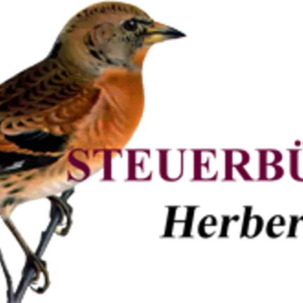 Logo da Steuerbüro - Steuerberater Fink