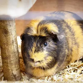 Kids Marienturm
Frankfurt
pme Familienservice GmbH