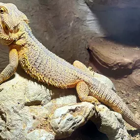 Kita Kids & Co. Unterlindau Kindergarten
Frankfurt
pme Familienservice GmbH