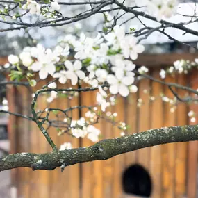 Kita Kids & Co. Unterlindau Kindergarten
Frankfurt
pme Familienservice GmbH