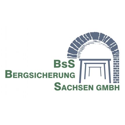 Logo van BsS Bergsicherung Sachsen GmbH