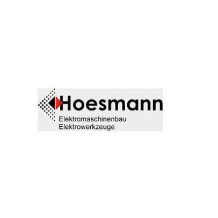 Logotipo de Hoesmann Elektromaschinenbau Elektrowerkzeuge