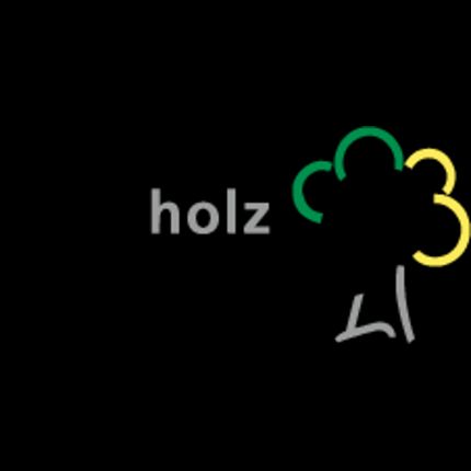 Logo od Holz Steinsdorfer GmbH & Co. KG