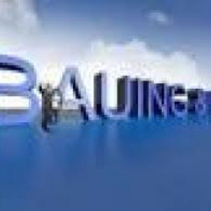 Logo from BAUING & IMM INGenieurbüro