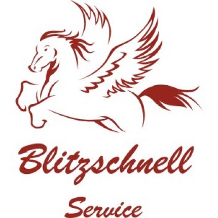 Logo de Blitzschnell Service