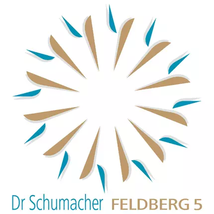 Logotyp från Dr. Schumacher FELDBERG 5