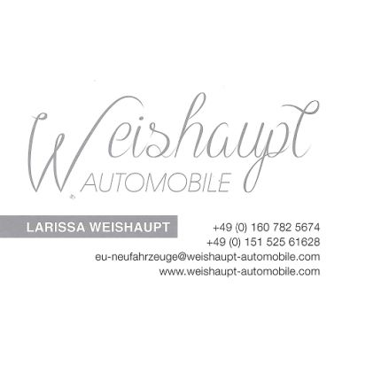 Logotyp från Weishaupt Automobile