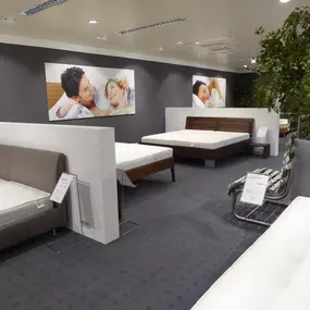 Bild von Möhle Schlafkultur