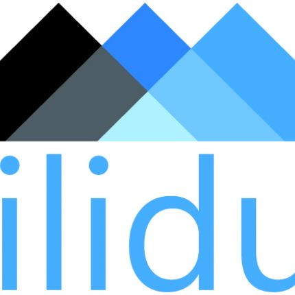 Λογότυπο από Silidur