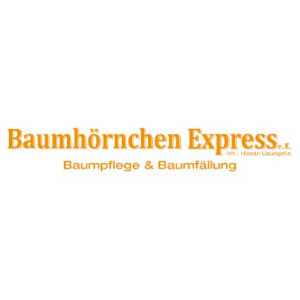 Logo fra Baumhörnchen-Express e.K.