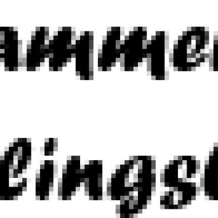 Logo od Die Kammerjäger & Schädlingsbekämpfer
