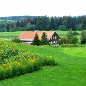 Bild von Die Topinambur Manufaktur