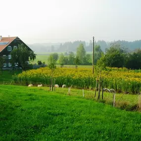 Bild von Die Topinambur Manufaktur