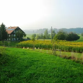 Bild von Die Topinambur Manufaktur