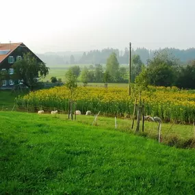 Bild von Die Topinambur Manufaktur