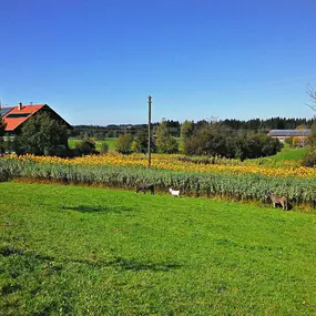 Bild von Die Topinambur Manufaktur