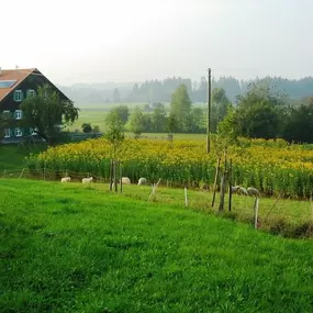 Bild von Die Topinambur Manufaktur