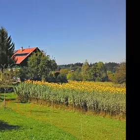 Bild von Die Topinambur Manufaktur