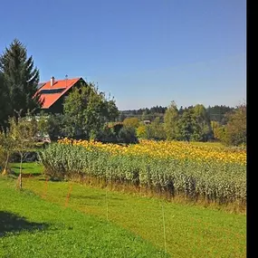 Bild von Die Topinambur Manufaktur