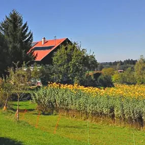 Bild von Die Topinambur Manufaktur