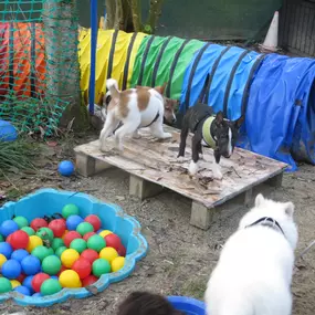 Bild von Hundeschule Amperland Ihre mobile Hundeschule bei FFB