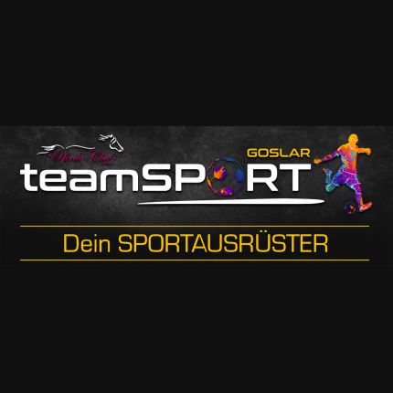 Logo fra Teamsport Goslar