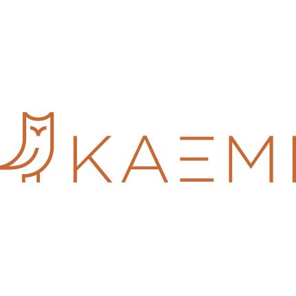 Logo from KAEMI GmbH