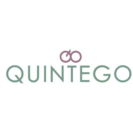 Logo da Quintego Riskmanagement & Investigation