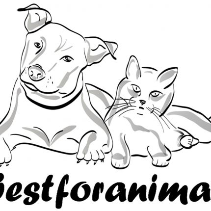 Logo from bestforanimals