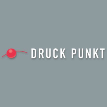 Logo van Druck Punkt
