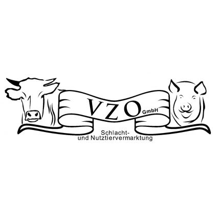 Logotipo de VZO