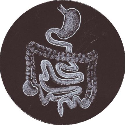 Logo van Gastroenterologische Schwerpunktpraxis Dr. Splett